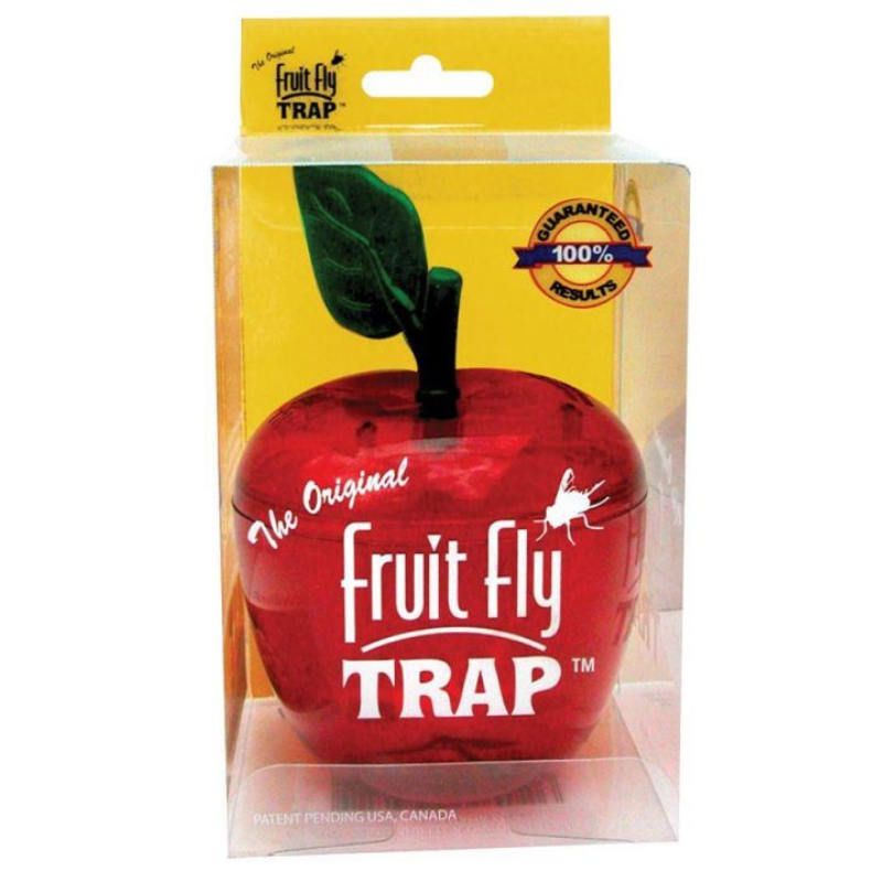 Fruit Fly Trap