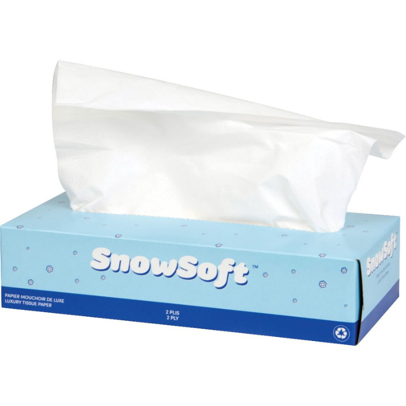 Snow Soft Facial Tissue – 2-Ply, 100 Sheets/Box, 30/Case